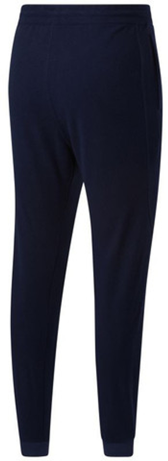 Мужские теннисные штаны Reebok WOR Fleece Pant - небесный
