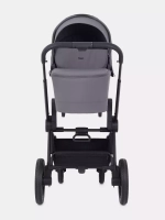 Коляска 2 в 1 Rant Flex 2025 RA076
