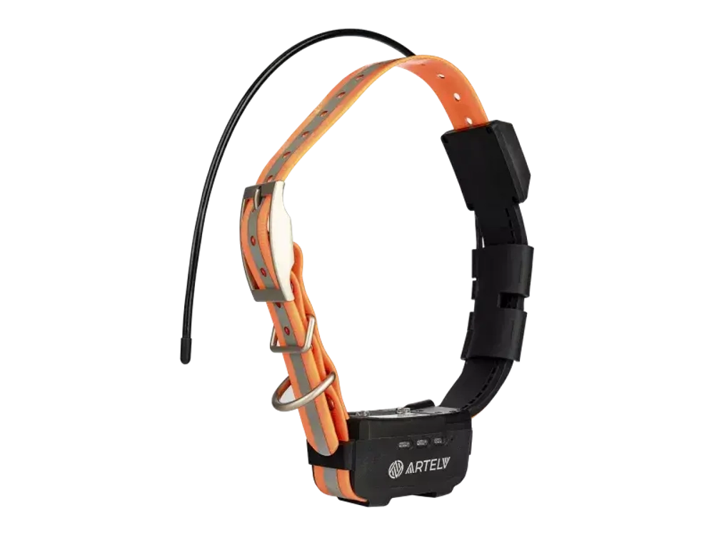 GPS ошейник ARTELV TRACKER 2W с базовой станцией