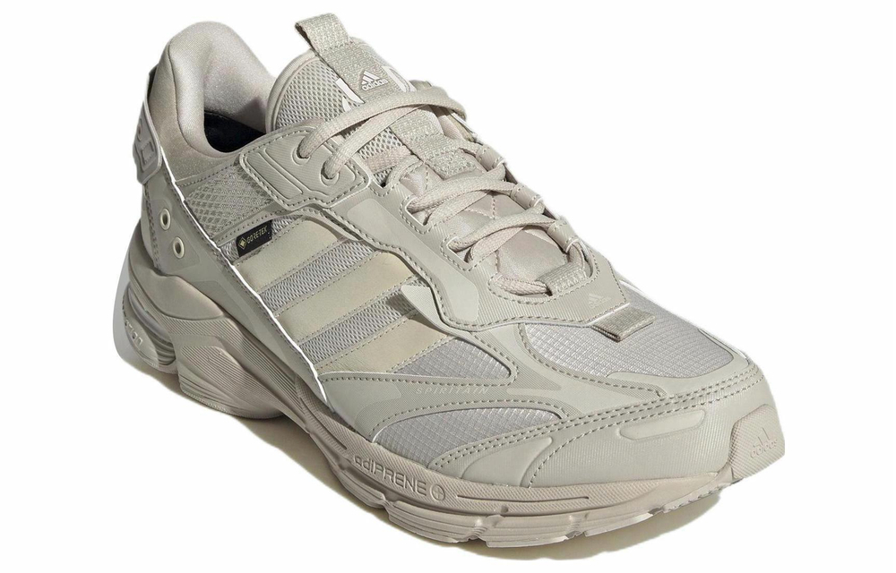 Кроссовки Adidas Spiritain 2000 Gore-Tex