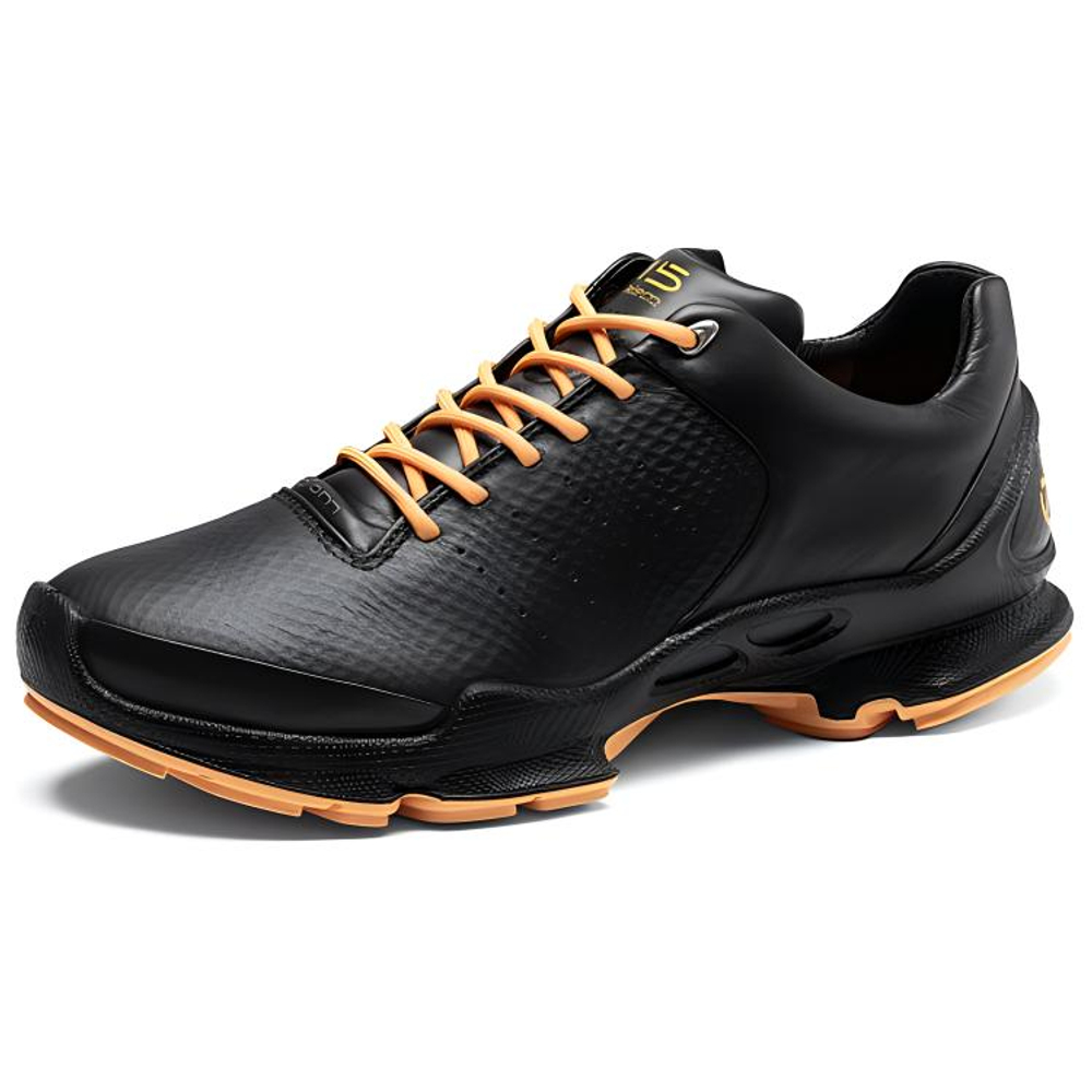 Ecco Biom C