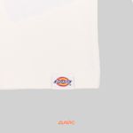  Футболка мужская Dickies Outdoor артикул:DK0A4Z8PC481 - купить в магазине Дайс