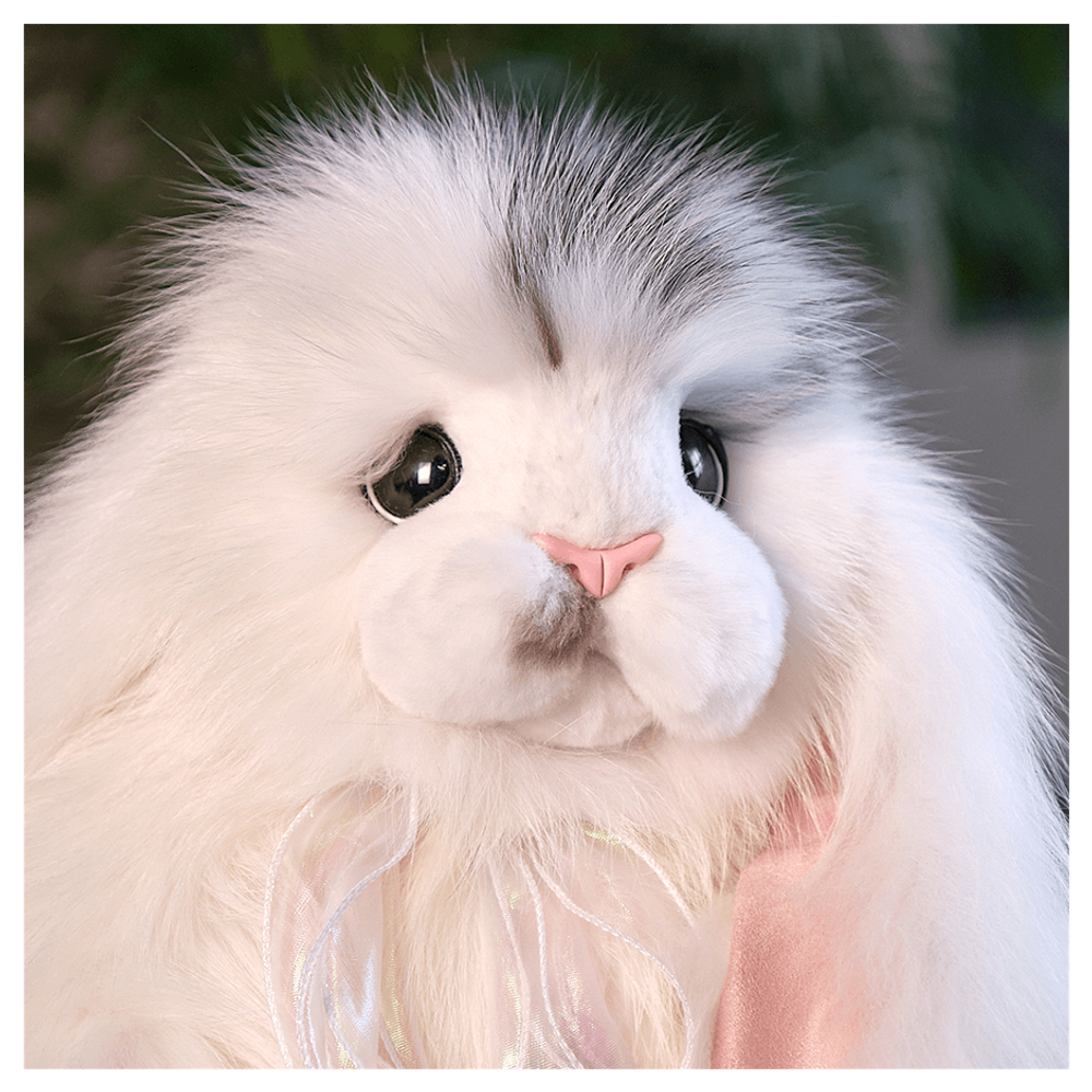 «Зайка Агуша»