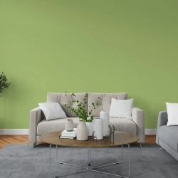 Краска интерьерная PARITET Оливковый 2,5л