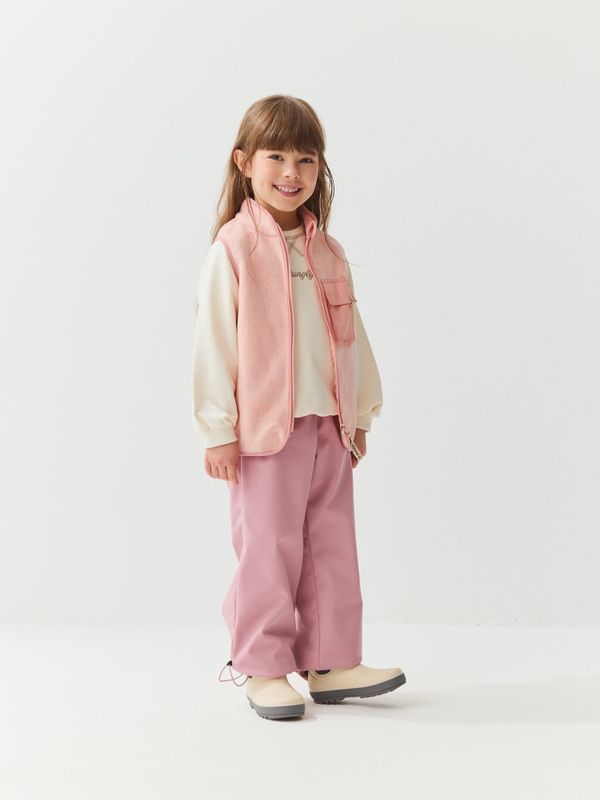 Брюки Softshell демисезонные с утяжкой 