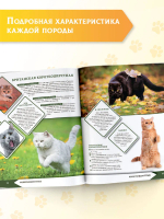 Большая энциклопедия о кошках и собаках