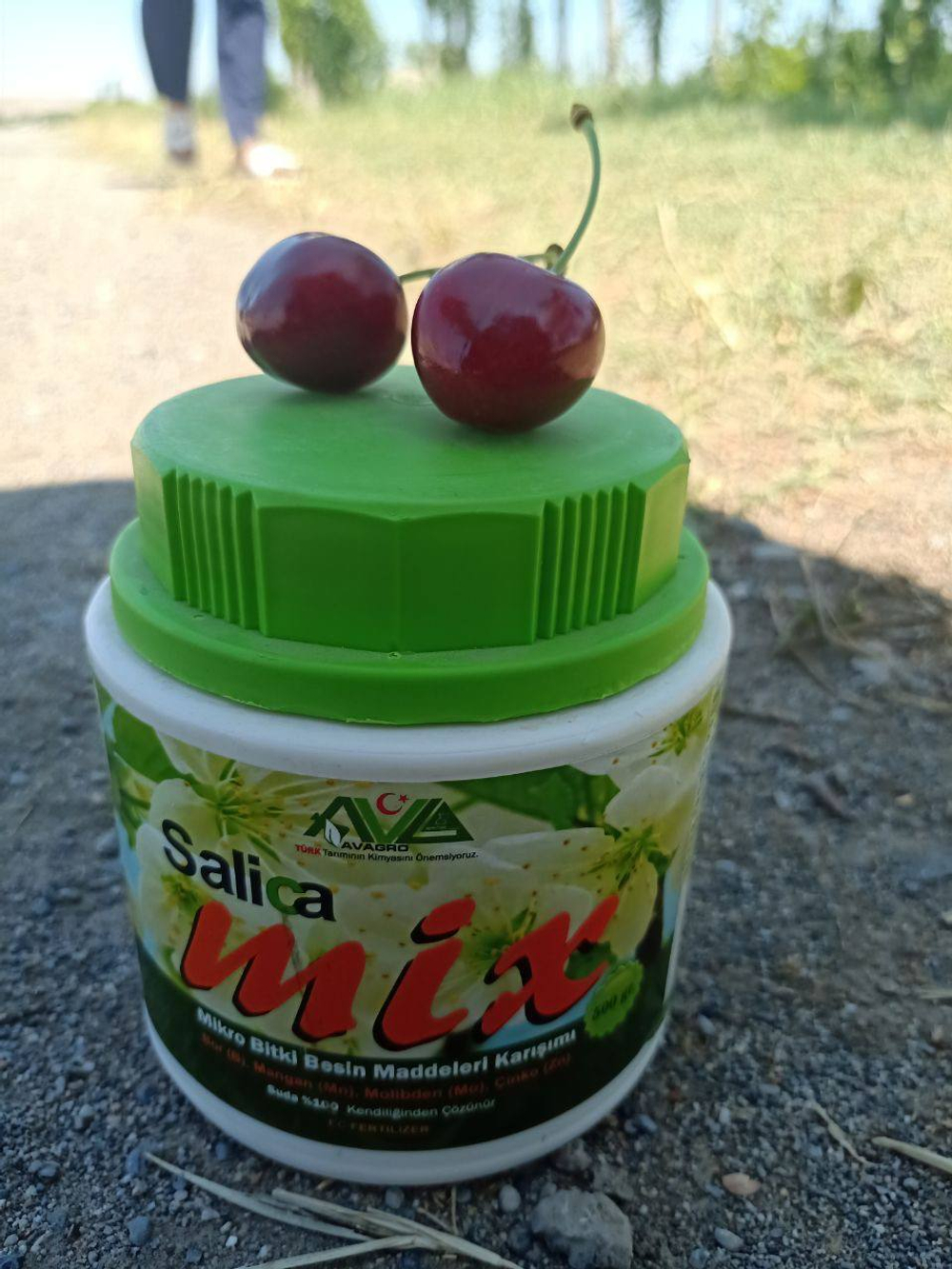 salica mix