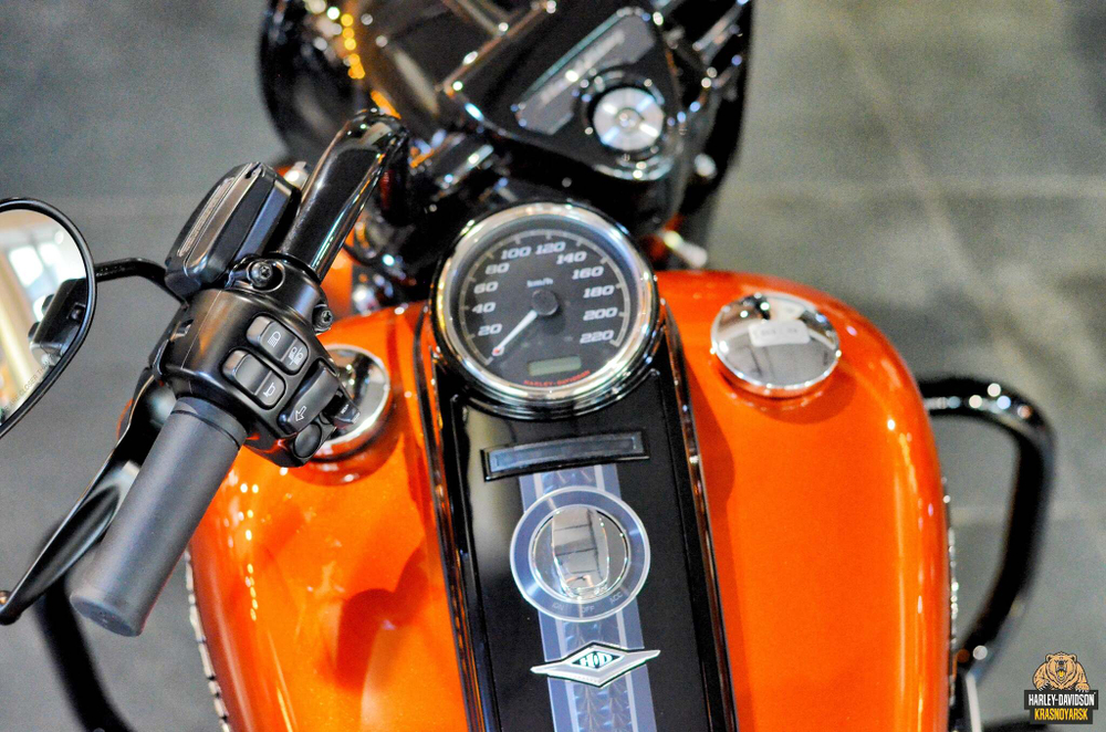 Harley-Davidson® Road King Special®