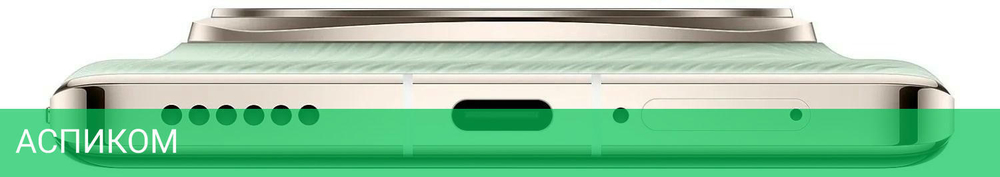 Смартфон Honor Magic6 Pro 12GB/512GB Epi Green (BVL-N49)