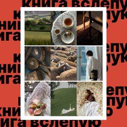 Книга вслепую №4