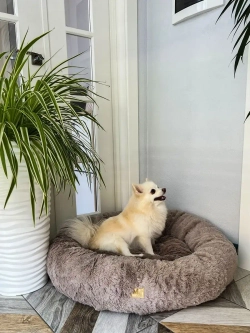 Лежанка для кошек лежак для собак домик