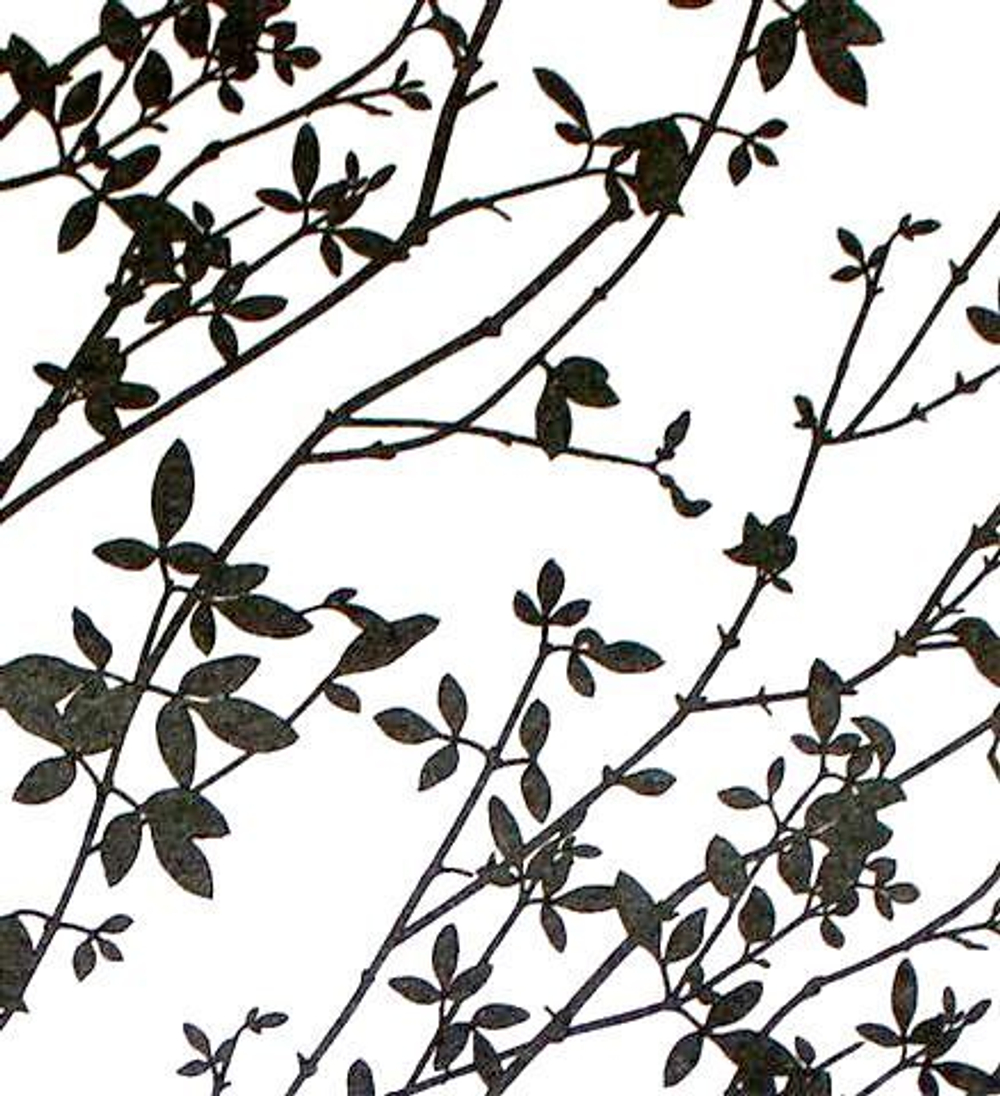 Рулонные шторы "Дюна"