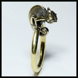 Брелок для ключей "Хамелеон - карманный друг" , латунь