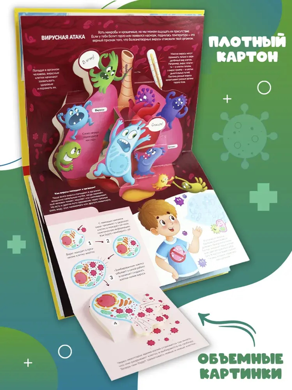 POP UP энциклопедия