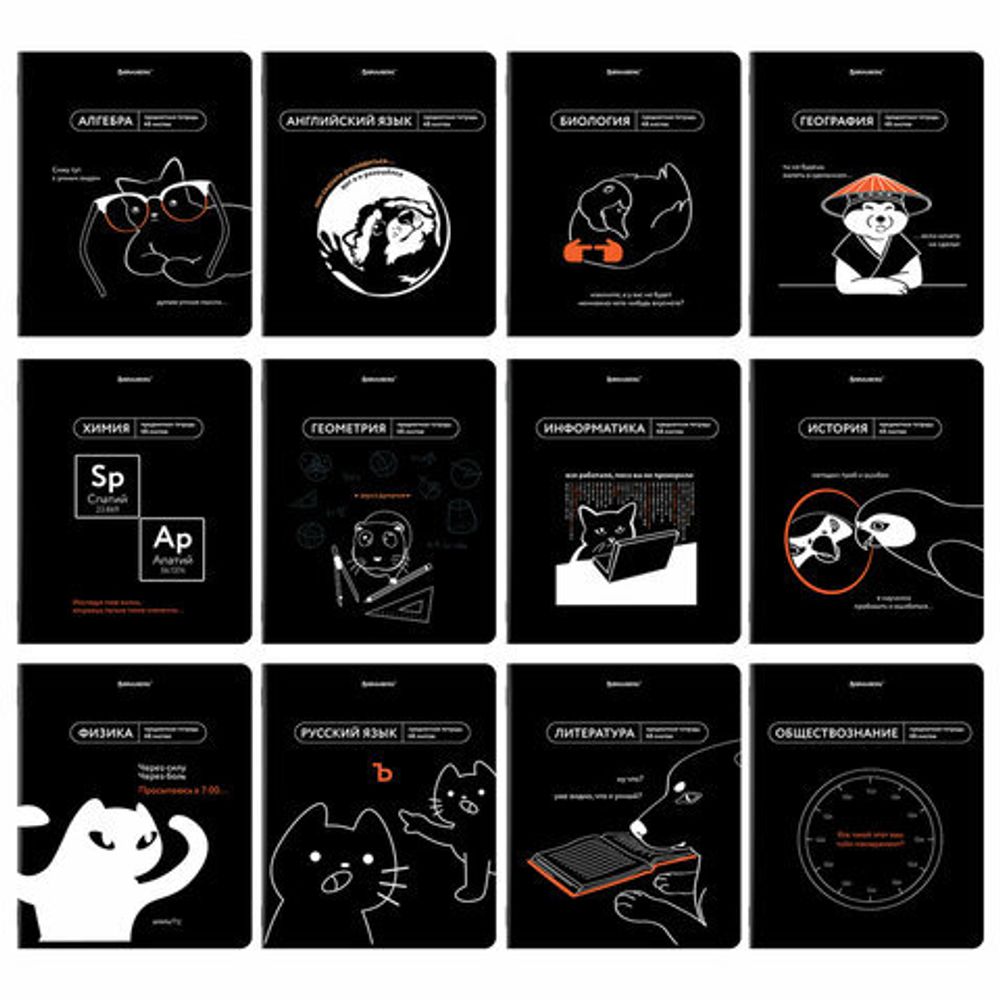 Тетради предметные, КОМПЛЕКТ 12 ПРЕДМЕТОВ, 48 л., TWIN лак, BRAUBERG "МЕМЫ", 405172