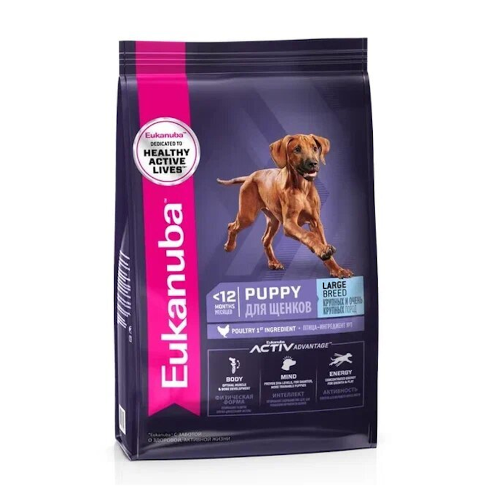 Сухой корм Eukanuba Puppy Large Breed ˂12 Months для щенков крупных и очень крупных пород с птицей