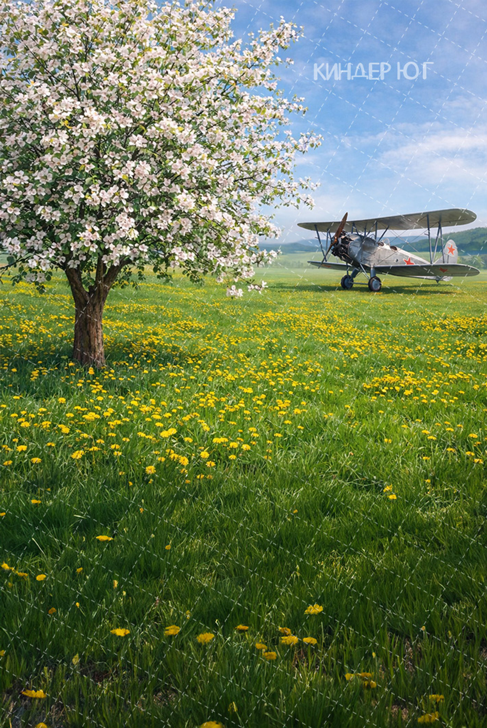 Фотофон "Яблоня и самолет" арт. ФФ911-47