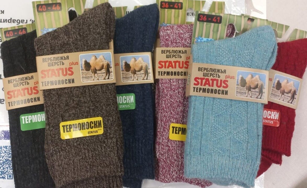 [m]Носки STATUS ВШ-1 (36-41)