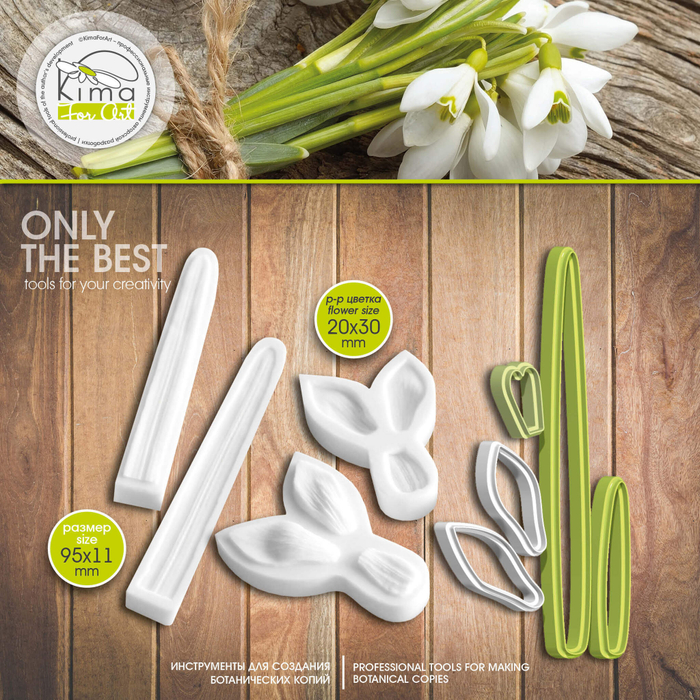 Подснежник лепестки и лист