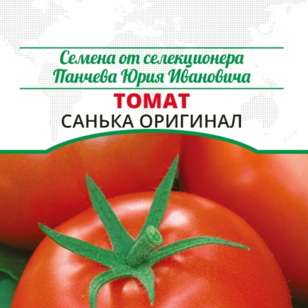 Томат Санька Оригинал