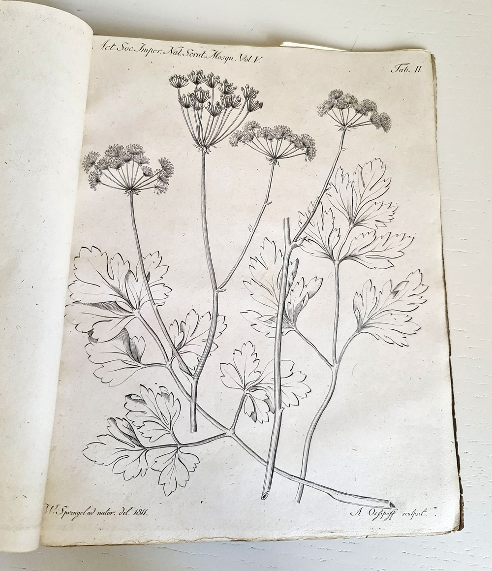 "Memoires de la societe imperiale des naturalistes de Moscou T. 1, 3, 5 (Воспоминания Московского Императорского Общества естествоиспытателей)". 1817 г.