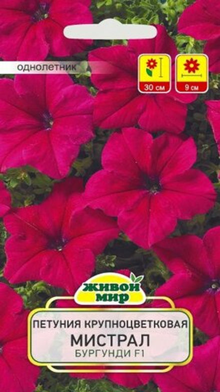 Пeтyния крупноцвeткoвaя "ЖМ. Mиcтpaл Бypгyнди F1" 10шт, Чехия.