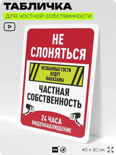 Табличка для частной территории "Не слоняться, частная собственность, видеонаблюдение 24 часа", на дом, для участка, предупреждающая, 40х30 см, Silver Plane x Айдентика Технолоджи