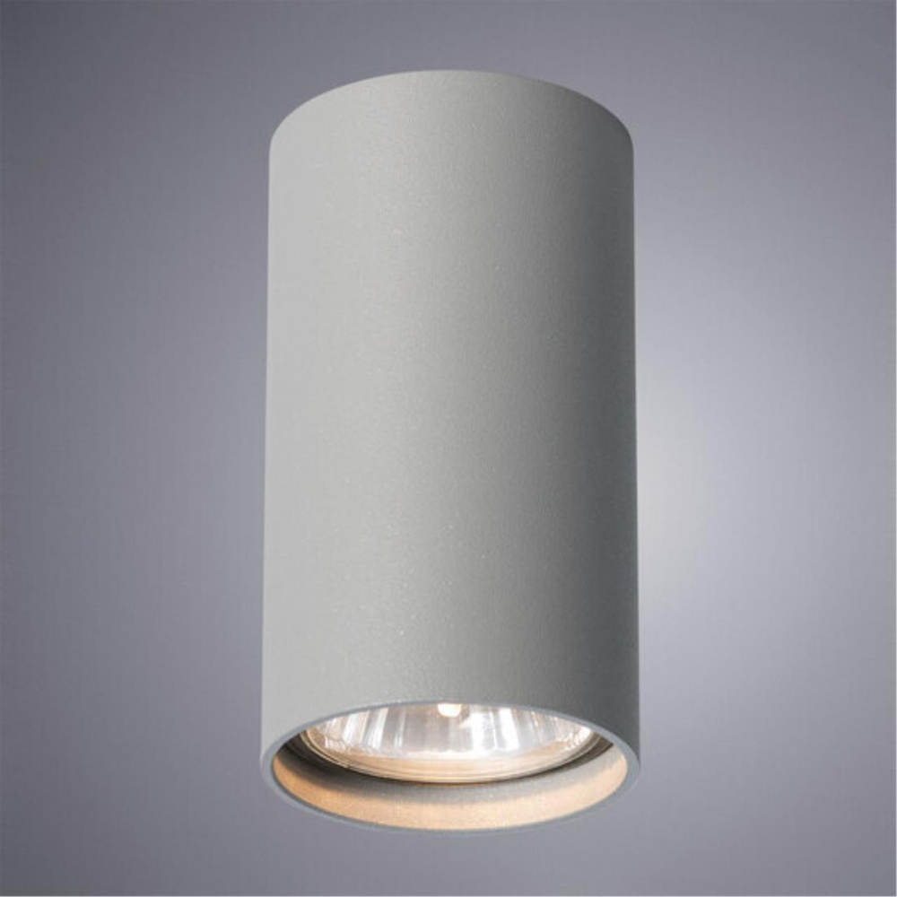 Накладной светильник Arte Lamp UNIX A1516PL-1GY