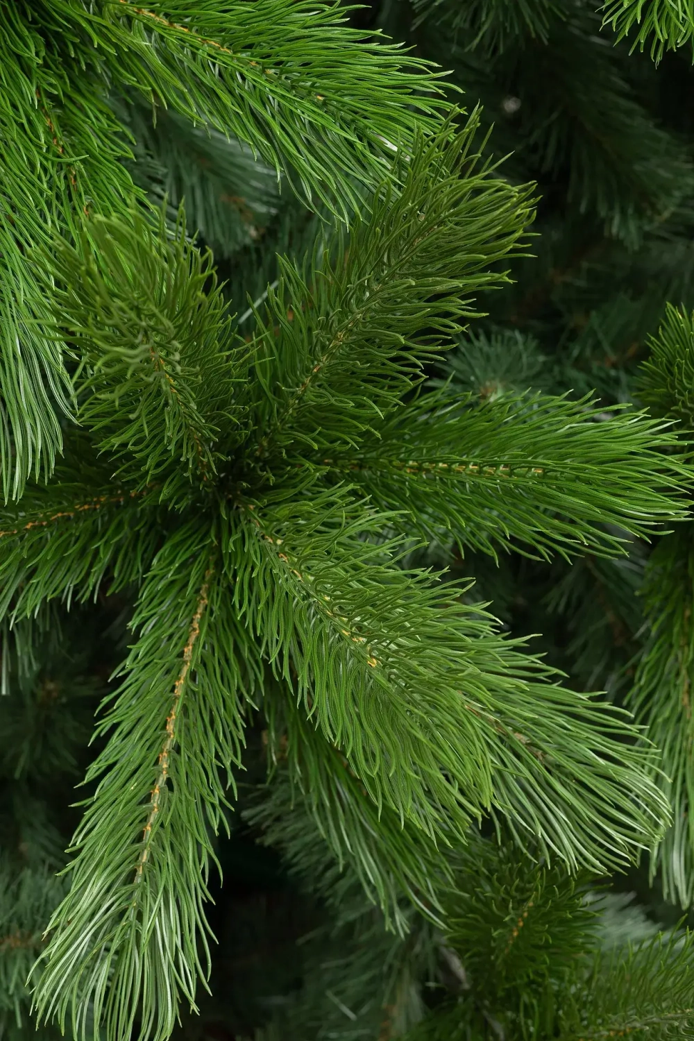 Искусственная елка Каспийская 600 см., литая хвоя + ПВХ, ЕлкиТорг (257600)