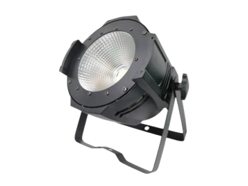 Bristage PAR100T
