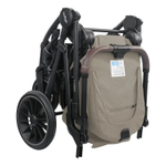 Коляска 3 в 1 Indigo Carry (арт. H31)