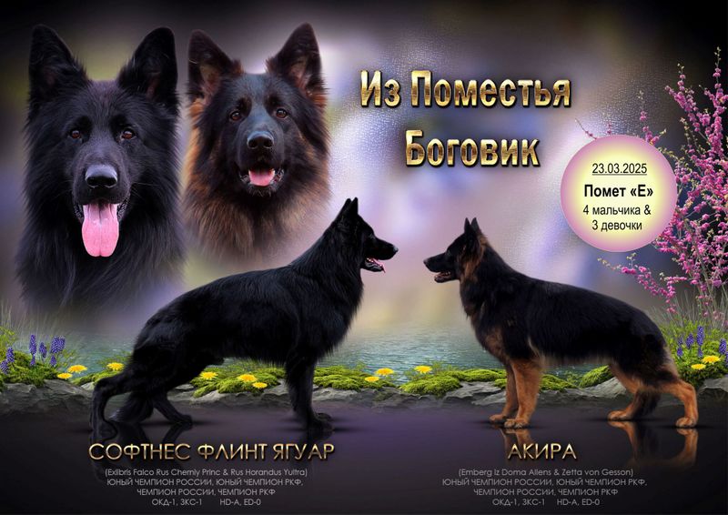 Помет "Е"