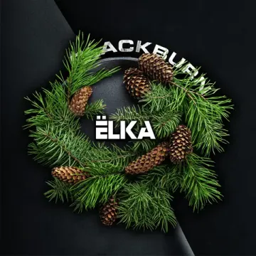 Black Burn - ЁLKA