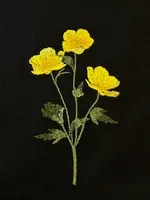 Футболка LCLS. x Гербарий Лютик черная