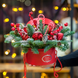 Красная шляпная коробка с нобилисом