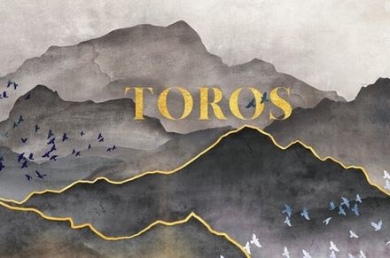 Toros