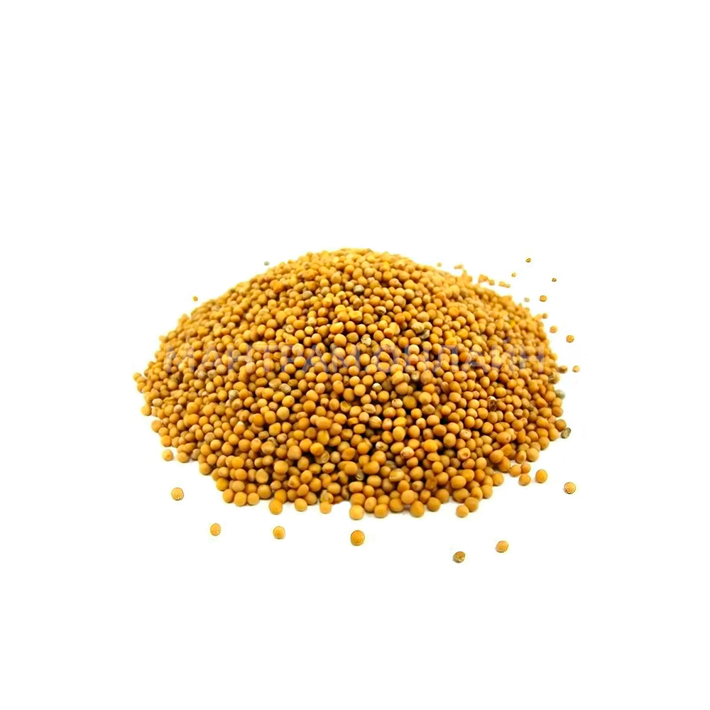 Специя Sangam Herbals Горчица желтая семена 100 г