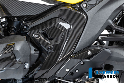 Ilmberger Carbonparts Защита рамы левая сторона BMW R 1300 RS