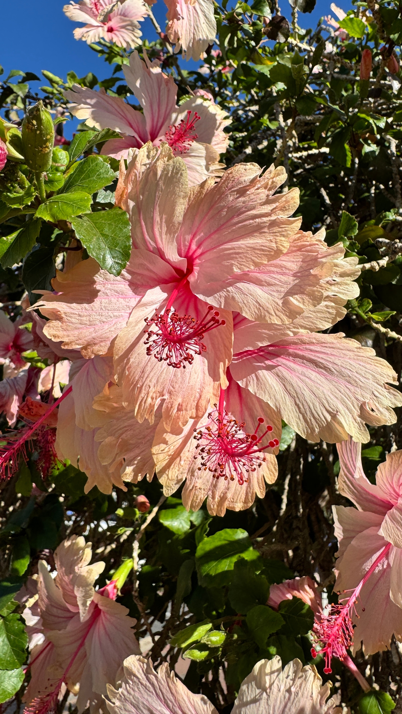 С наступающим!