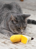 Petstages игрушка для кошек Dental "Банан"