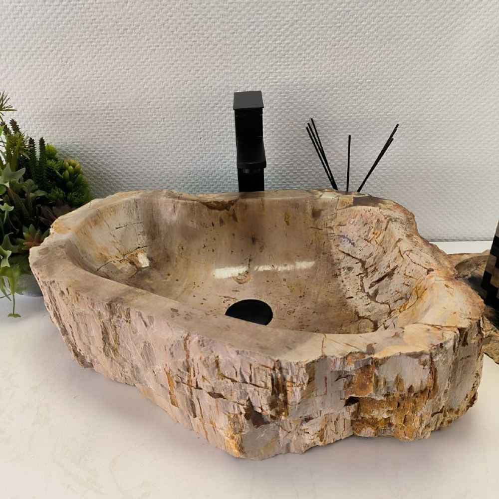 Купить Раковина из окаменелого дерева