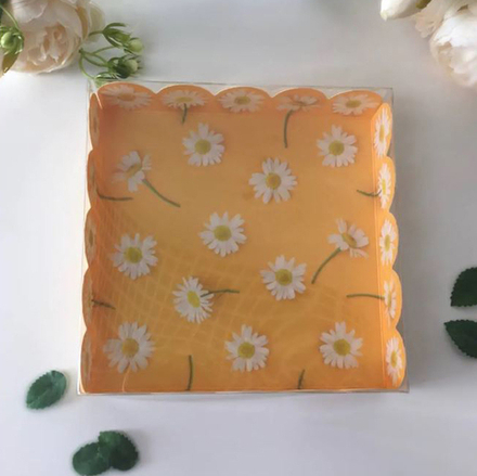 Упаковка для печенья и пряников 15*15*3 см (Ромашки)