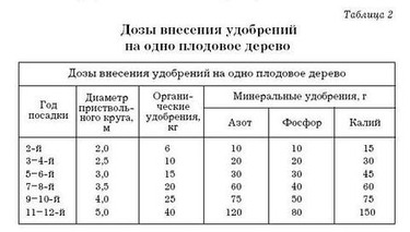 Комплексное удобрение для плодовых деревьев: как расшифровать NPK и не ошибиться с дозой