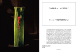 Daniel Ost: Floral Art and the Beauty of Impermanence