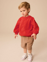 Толстовка и шорты в комплекте для мальчика Next E60-687, Красный, Светло-коричневый