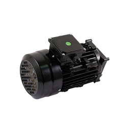 Электромотор V-26, V-57, V-57A (380V/220V/50/60Hz PUMP MOTOR)