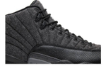 Кроссовки Jordan Air Jordan 12 Retro Wool