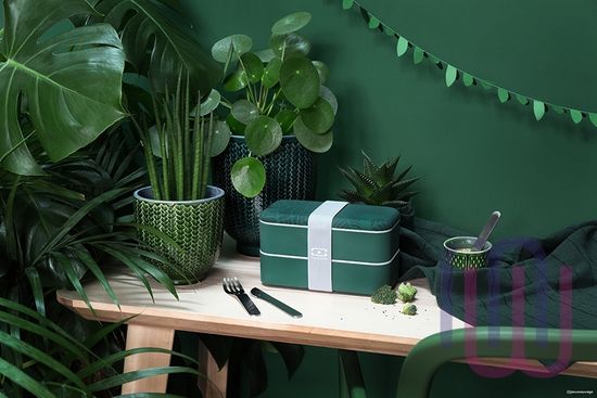 Ланч-бокс MB Original jungle