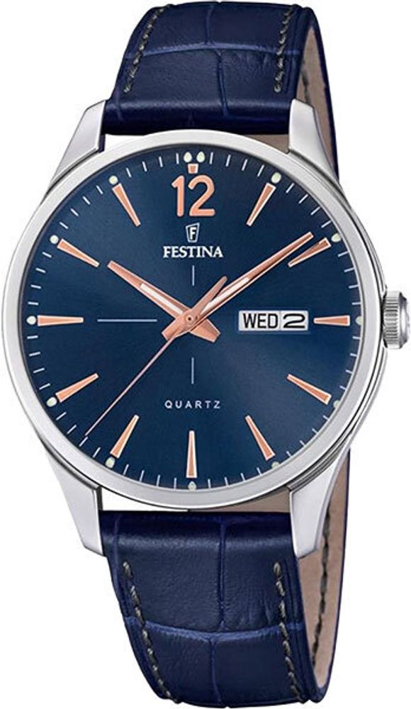 Мужские наручные часы Festina F20205/3