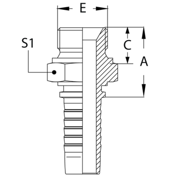 BSP (Ш)